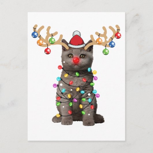 Cute British Shorthair Cat Funny Kerstfeestdag Briefkaart (Voorkant)