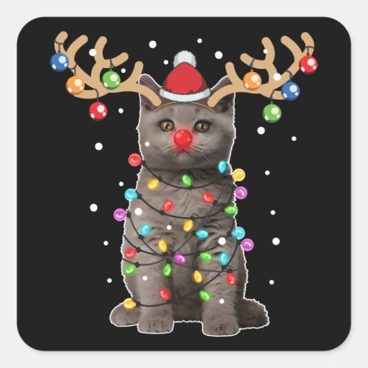 Cute British Shorthair Cat Funny Kerstfeestdag Vierkante Sticker (Voorkant)