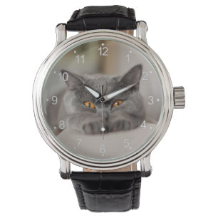 Cute British Shorthair cat Horloge