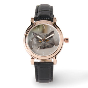Cute British Shorthair cat Horloge