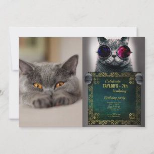 Cute British Shorthair cat Kaart