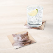 Cute British Shorthair Cat Kartonnen Onderzetters (Insitu)