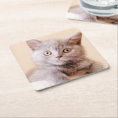 Cute British Shorthair Cat Kartonnen Onderzetters (Schuin)