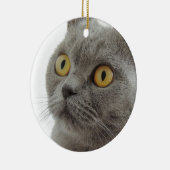 Cute British Shorthair cat Keramisch Ornament (Rechts)