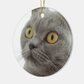 Cute British Shorthair cat Keramisch Ornament (Links)