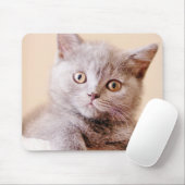 Cute British Shorthair Cat Muismat (Met muis)