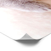 Cute British Shorthair Cat Poster (Hoek)