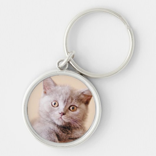 Cute British Shorthair Cat Sleutelhanger (Voorkant)