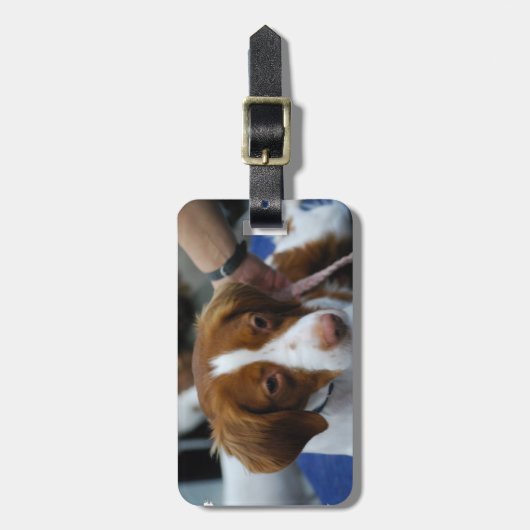 Cute Brittany Spaniel Bagagelabel (Voorkant verticaal)
