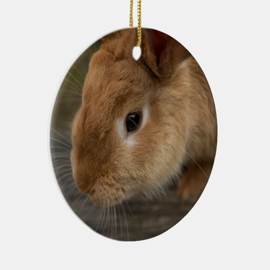 Cute brown bunny keramisch ornament (Rechts)