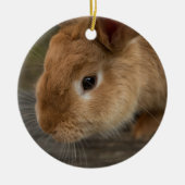 Cute brown bunny keramisch ornament (Voorkant)