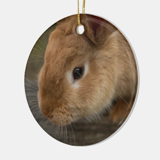 Cute brown bunny keramisch ornament (Links)