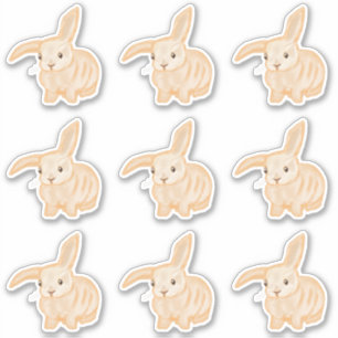 Cute Brown Bunny Rabbit - 9x cut-out. Sticker