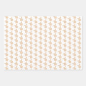 Cute Brown Bunny Rabbit - transparante patronen. Inpakpapier Vel (Voorkant 3)