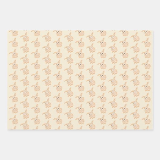 Cute Brown Bunny Rabbit - transparante patronen. Inpakpapier Vel (Voorkant)