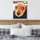 Cute Brown Dachshund Puppy Dog Canvas Afdruk (Insitu (Slaapkamer))