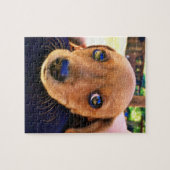 Cute Brown Dachshund Puppy Dog Legpuzzel (Horizontaal)