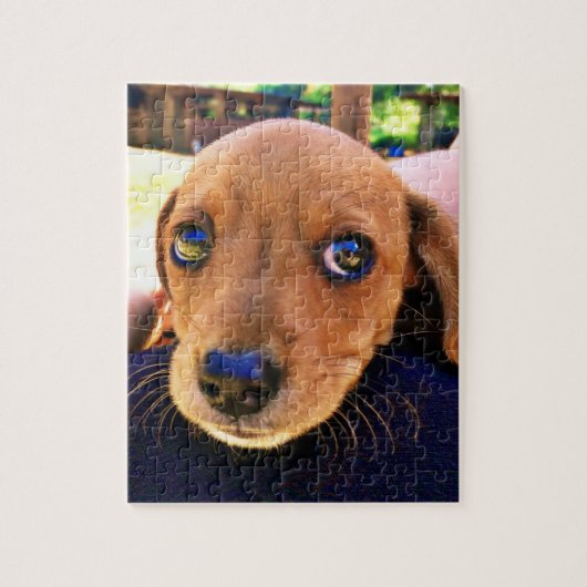 Cute Brown Dachshund Puppy Dog Legpuzzel (Verticaal)