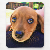 Cute Brown Dachshund Puppy Dog Muismat (Voorkant)
