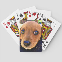 Cute Brown Dachshund Puppy Dog Pokerkaarten