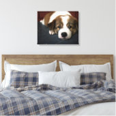 Cute Brown en White Puppy Canvas Afdruk (Insitu (Slaapkamer))