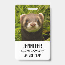 Cute Brown Ferret in de Grass