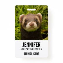 Cute Brown Ferret in de Grass