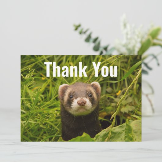 Cute Brown Ferret in de Grass Bedankkaart (Staand voorkant)