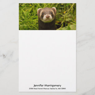Cute Brown Ferret in de Grass Briefpapier
