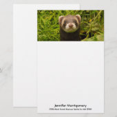 Cute Brown Ferret in de Grass Briefpapier (Voorkant / Achterkant)
