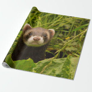 Cute Brown Ferret in de Grass Cadeaupapier