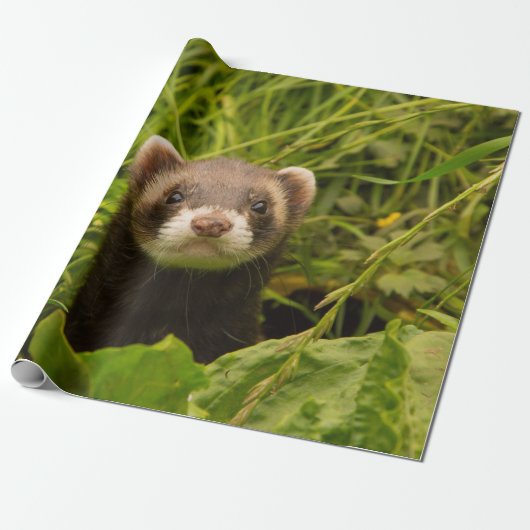 Cute Brown Ferret in de Grass Cadeaupapier (Uitgerold)