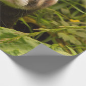 Cute Brown Ferret in de Grass Cadeaupapier (Hoek)