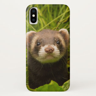 Cute Brown Ferret in de Grass Case-Mate iPhone Case