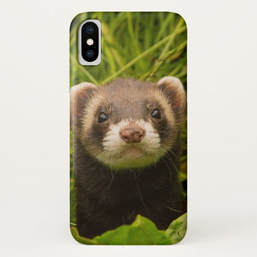 Cute Brown Ferret in de Grass Case-Mate iPhone Case (Achterkant)