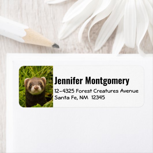 Cute Brown Ferret in de Grass Etiket (Insitu)