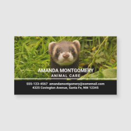 Cute Brown Ferret in de Grass Foto