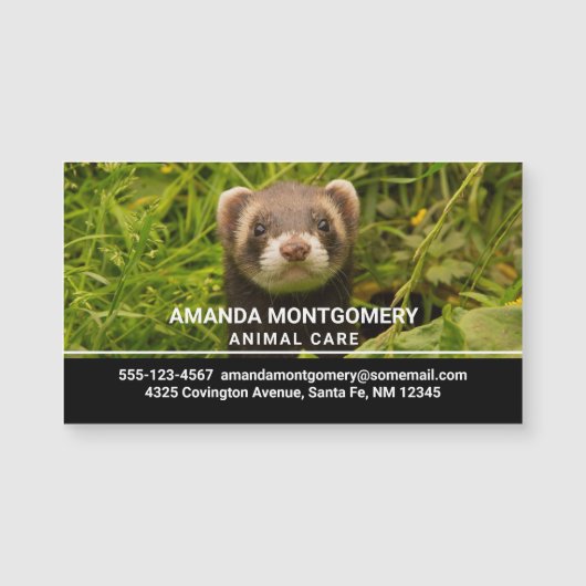 Cute Brown Ferret in de Grass Foto (Voorkant)