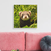 Cute Brown Ferret in de Grass Foto Canvas Afdruk (Insitu (Woonkamer))