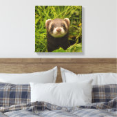 Cute Brown Ferret in de Grass Foto Canvas Afdruk (Insitu (Slaapkamer))