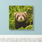Cute Brown Ferret in de Grass Foto Canvas Afdruk (Insitu (Houten vloer))