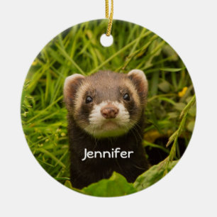 Cute Brown Ferret in de Grass Foto Keramisch Ornament