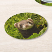 Cute Brown Ferret in de Grass Foto Ronde Kartonnen Onderzetter (Gebogen)