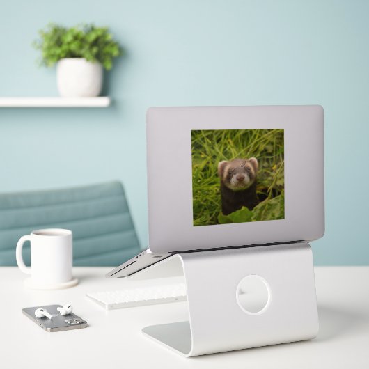 Cute Brown Ferret in de Grass Foto Sticker (Laptop op bureau)