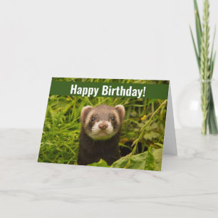 Cute Brown Ferret in de Grass Happy Birthday Kaart