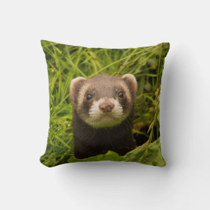 Cute Brown Ferret in de Grass Kussen