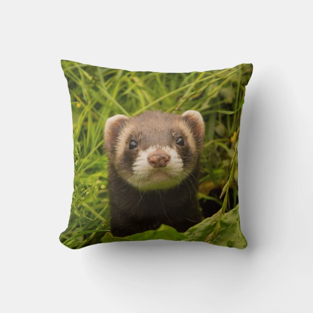 Cute Brown Ferret in de Grass Kussen (Voorkant)