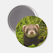 Cute Brown Ferret in de Grass Magneet (Voorkant / Achterkant)