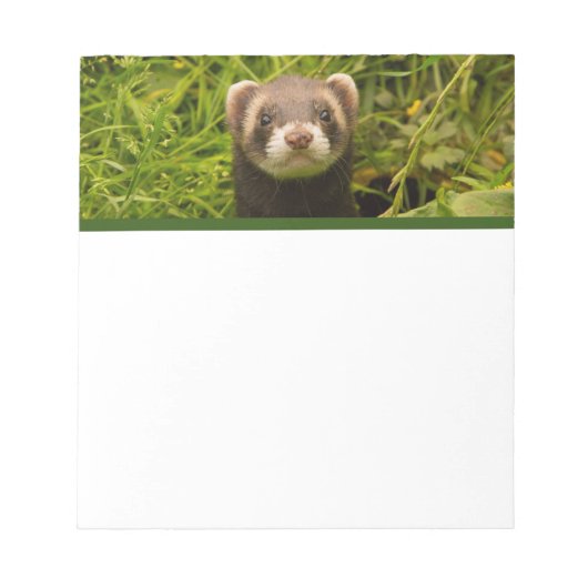 Cute Brown Ferret in de Grass Notitieblok (Voorkant)