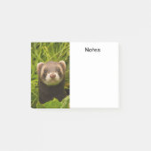 Cute Brown Ferret in de Grass Post-it® Notes (Voorkant)